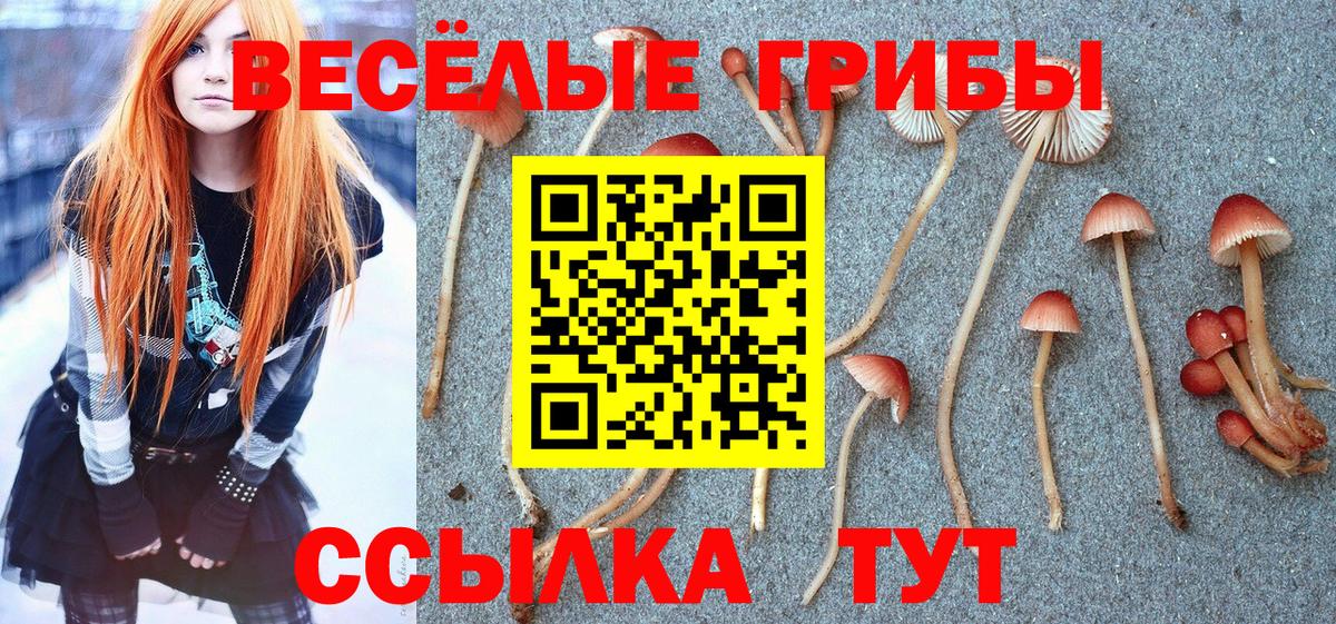 Метадон Лыткарино