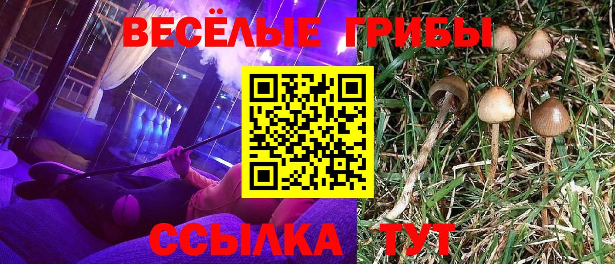 Лыткарино  Псилоцибиновые грибы прущие грибы  Вход с VPN 
